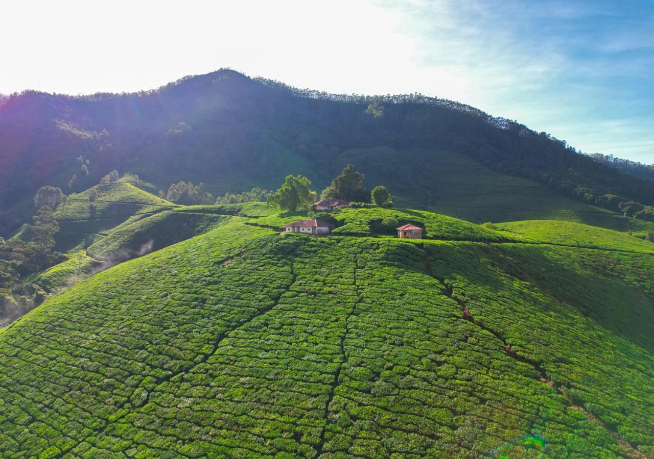 Arivikad Tea Bungalow Munnar By Voye Homes Suryanelli Ngoại thất bức ảnh