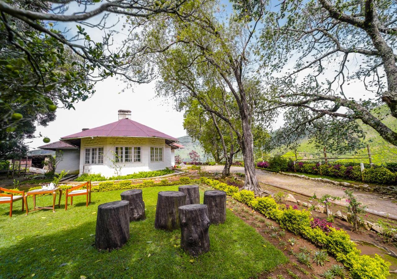 Arivikad Tea Bungalow Munnar By Voye Homes Suryanelli Ngoại thất bức ảnh