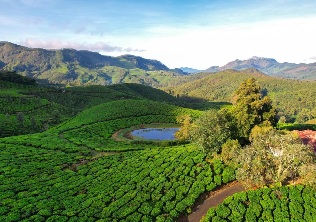 Arivikad Tea Bungalow Munnar By Voye Homes Suryanelli Ngoại thất bức ảnh