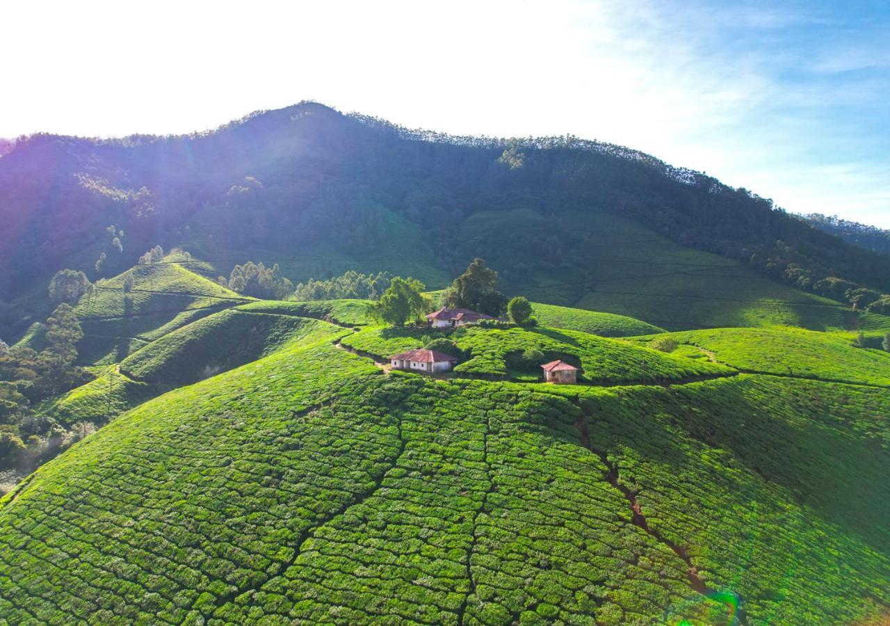 Arivikad Tea Bungalow Munnar By Voye Homes Suryanelli Ngoại thất bức ảnh