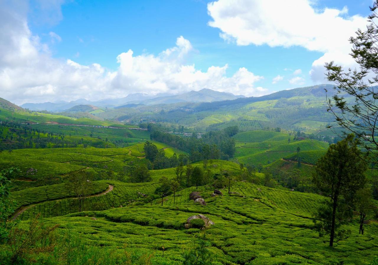 Arivikad Tea Bungalow Munnar By Voye Homes Suryanelli Ngoại thất bức ảnh