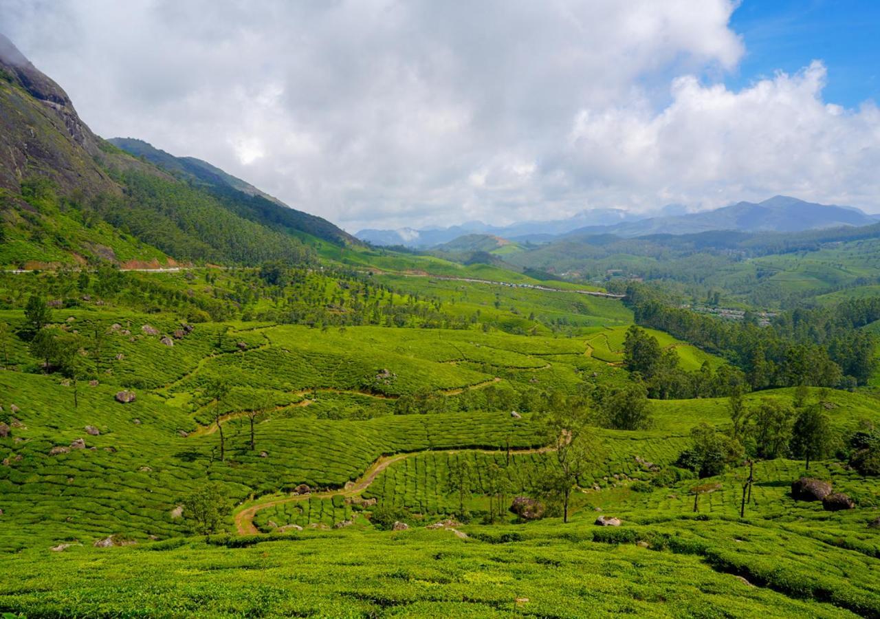 Arivikad Tea Bungalow Munnar By Voye Homes Suryanelli Ngoại thất bức ảnh