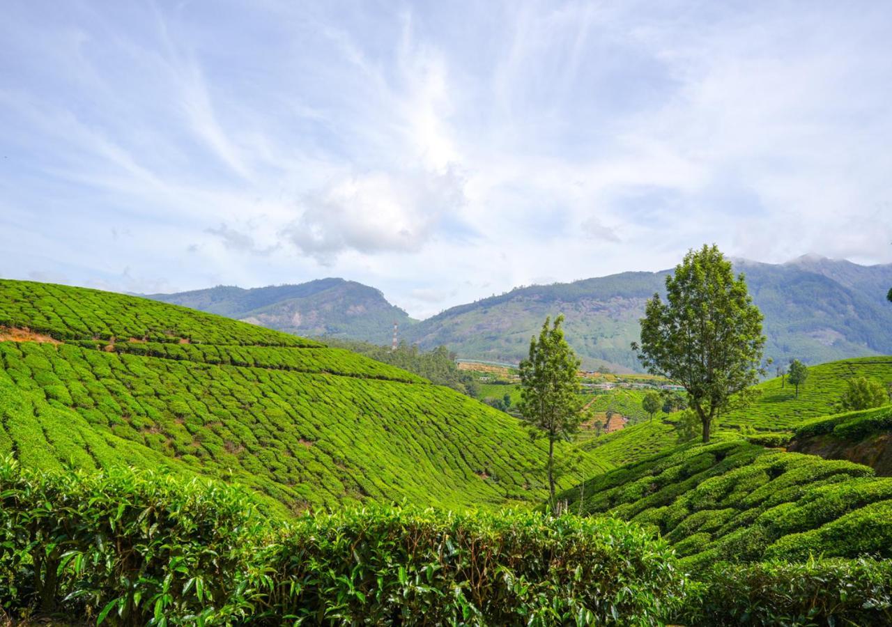 Arivikad Tea Bungalow Munnar By Voye Homes Suryanelli Ngoại thất bức ảnh